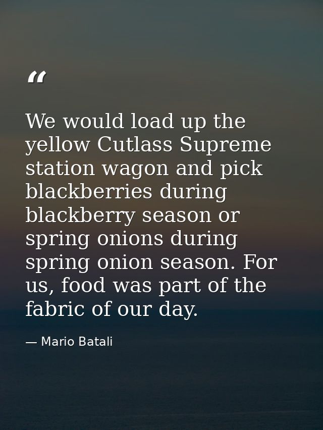 We would load up the yellow Cutlass Supreme station wagon and pick blackberries during blackberry season or spring onion — Mario Batali