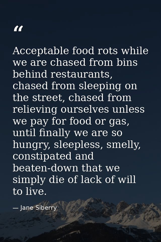 Acceptable food rots while we are chased from bins behind restaurants, chased from sleeping on the street, chased from r — Jane Siberry