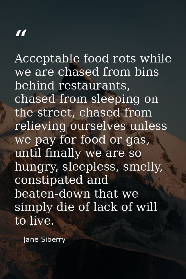 Acceptable food rots while we are chased from bins behind restaurants, chased from sleeping on the street, chased from r — Jane Siberry