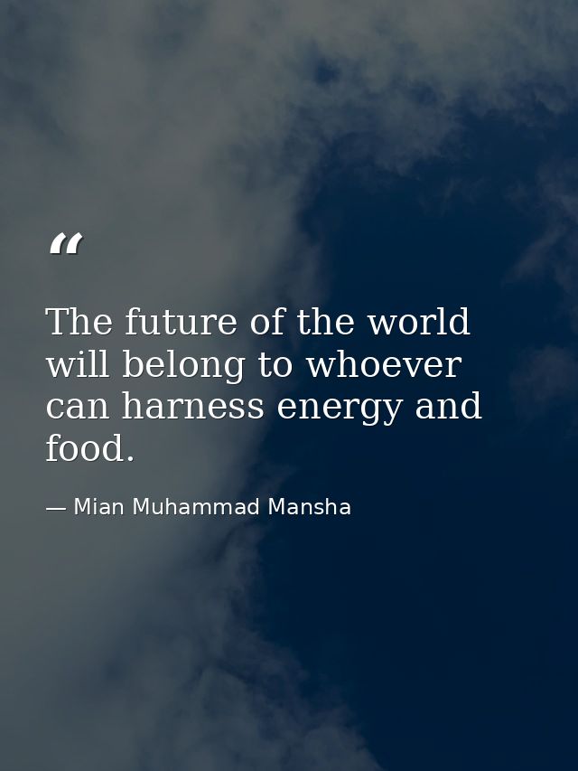 The future of the world will belong to whoever can harness energy and food. — Mian Muhammad Mansha