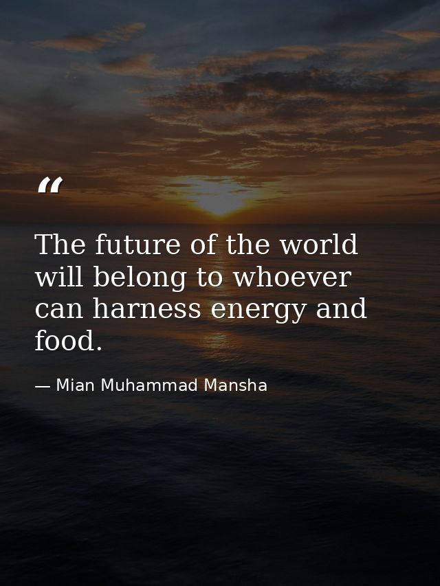 The future of the world will belong to whoever can harness energy and food. — Mian Muhammad Mansha