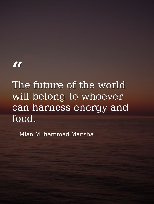 The future of the world will belong to whoever can harness energy and food. — Mian Muhammad Mansha