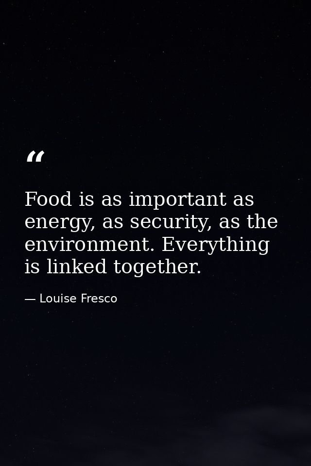 Food is as important as energy, as security, as the environment. Everything is linked together. — Louise Fresco