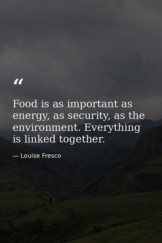 Food is as important as energy, as security, as the environment. Everything is linked together. — Louise Fresco