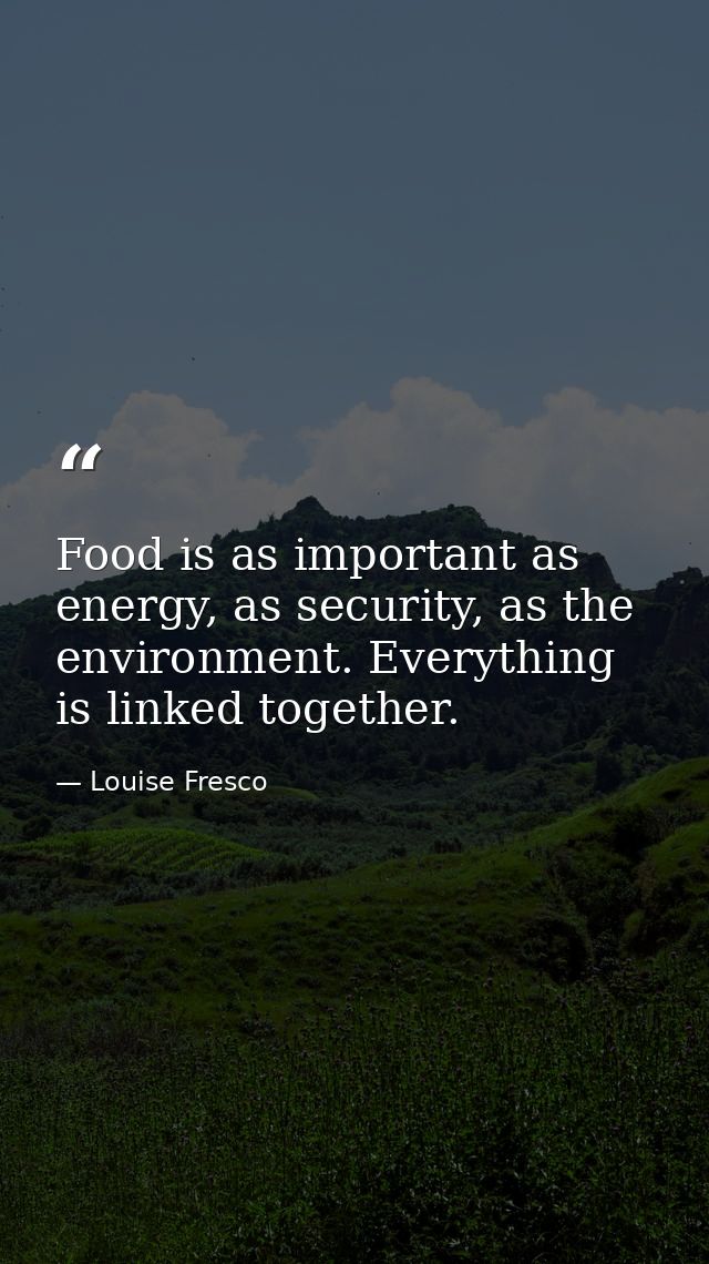 Food is as important as energy, as security, as the environment. Everything is linked together. — Louise Fresco