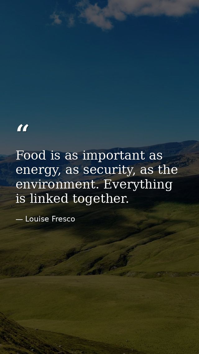 Food is as important as energy, as security, as the environment. Everything is linked together. — Louise Fresco