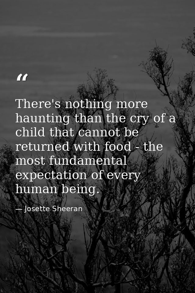 There's nothing more haunting than the cry of a child that cannot be returned with food - the most fundamental expectati — Josette Sheeran