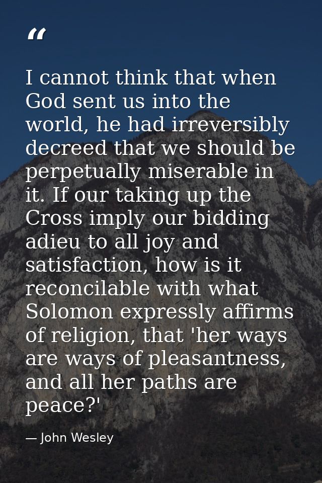 I cannot think that when God sent us into the world, he had irreversibly decreed that we should be perpetually miserable — John Wesley