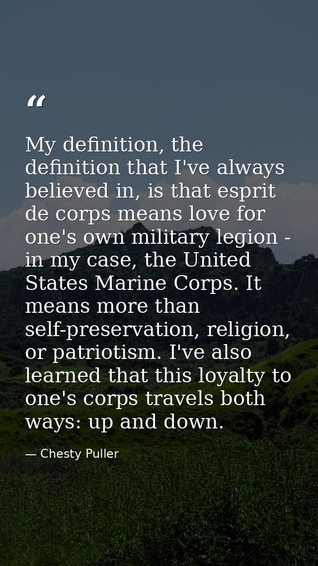 My definition, the definition that I've always believed in, is that esprit de corps means love for one's own military le — Chesty Puller
