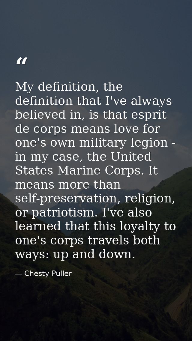 My definition, the definition that I've always believed in, is that esprit de corps means love for one's own military le — Chesty Puller