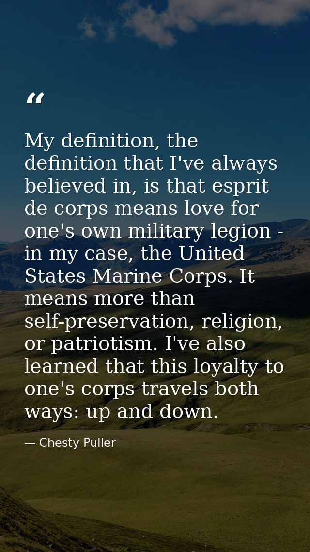 My definition, the definition that I've always believed in, is that esprit de corps means love for one's own military le — Chesty Puller