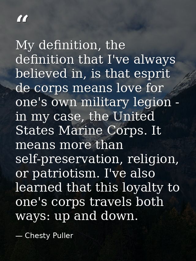 My definition, the definition that I've always believed in, is that esprit de corps means love for one's own military le — Chesty Puller