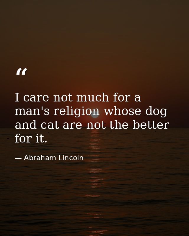 I care not much for a man's religion whose dog and cat are not the better for it. — Abraham Lincoln