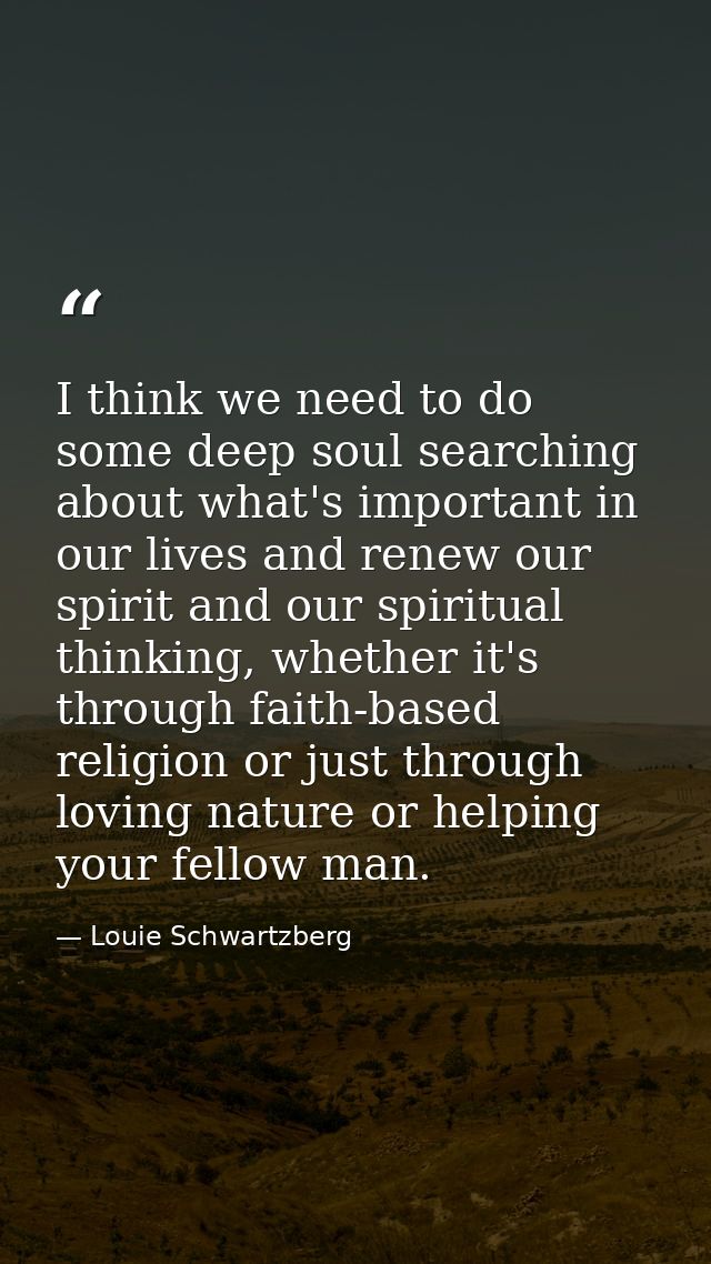 I think we need to do some deep soul searching about what's important in our lives and renew our spirit and our spiritua — Louie Schwartzberg