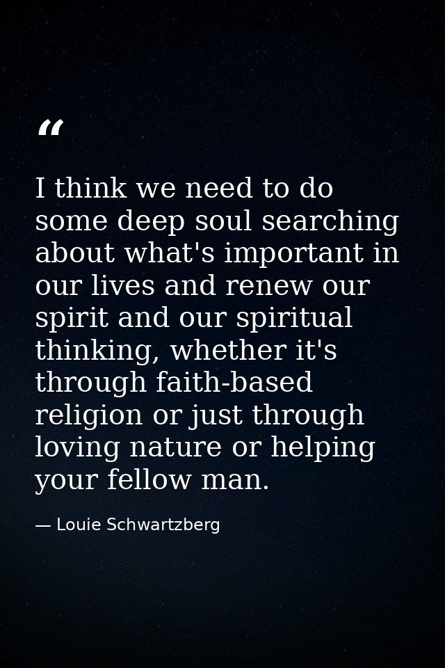 I think we need to do some deep soul searching about what's important in our lives and renew our spirit and our spiritua — Louie Schwartzberg