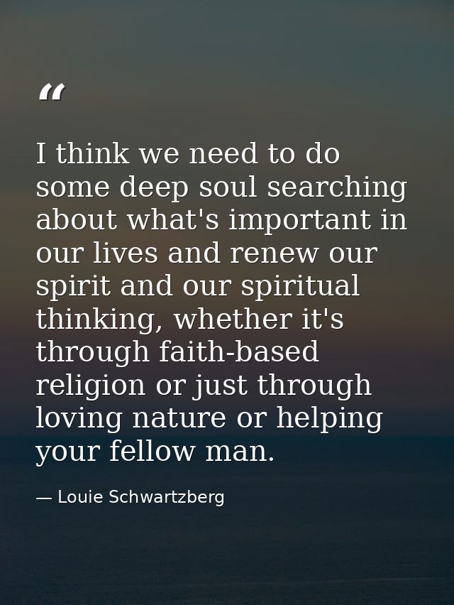 I think we need to do some deep soul searching about what's important in our lives and renew our spirit and our spiritua — Louie Schwartzberg