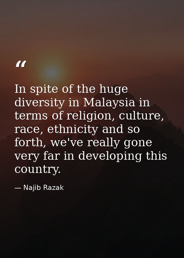 In spite of the huge diversity in Malaysia in terms of religion, culture, race, ethnicity and so forth, we've really gon — Najib Razak