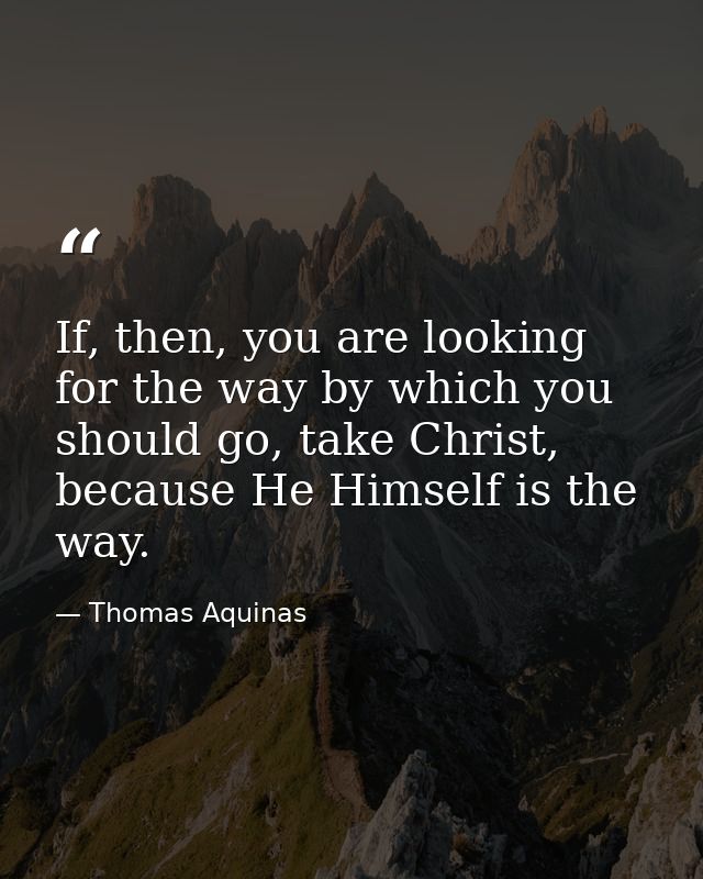 If, then, you are looking for the way by which you should go, take Christ, because He Himself is the way. — Thomas Aquinas