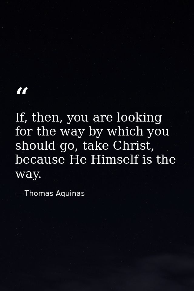 If, then, you are looking for the way by which you should go, take Christ, because He Himself is the way. — Thomas Aquinas