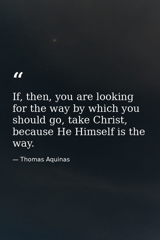If, then, you are looking for the way by which you should go, take Christ, because He Himself is the way. — Thomas Aquinas