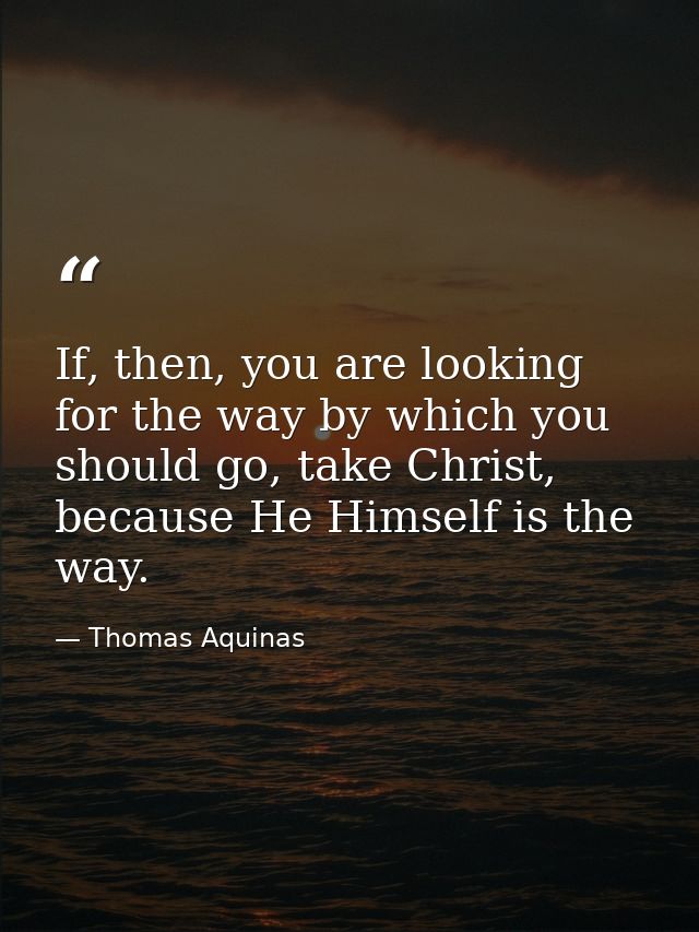 If, then, you are looking for the way by which you should go, take Christ, because He Himself is the way. — Thomas Aquinas