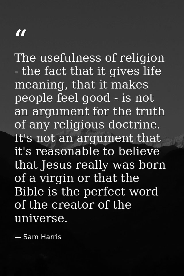 The usefulness of religion - the fact that it gives life meaning, that it makes people feel good - is not an argument fo — Sam Harris