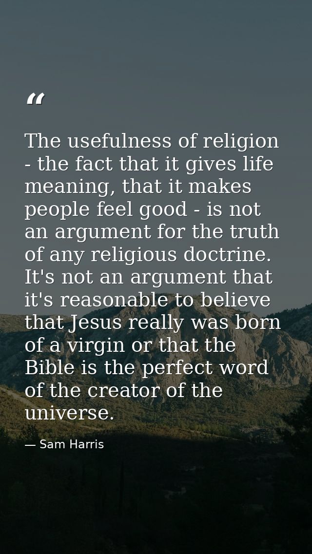 The usefulness of religion - the fact that it gives life meaning, that it makes people feel good - is not an argument fo — Sam Harris