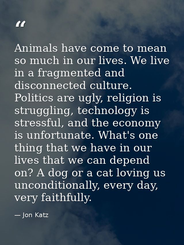 Animals have come to mean so much in our lives. We live in a fragmented and disconnected culture. Politics are ugly, rel — Jon Katz