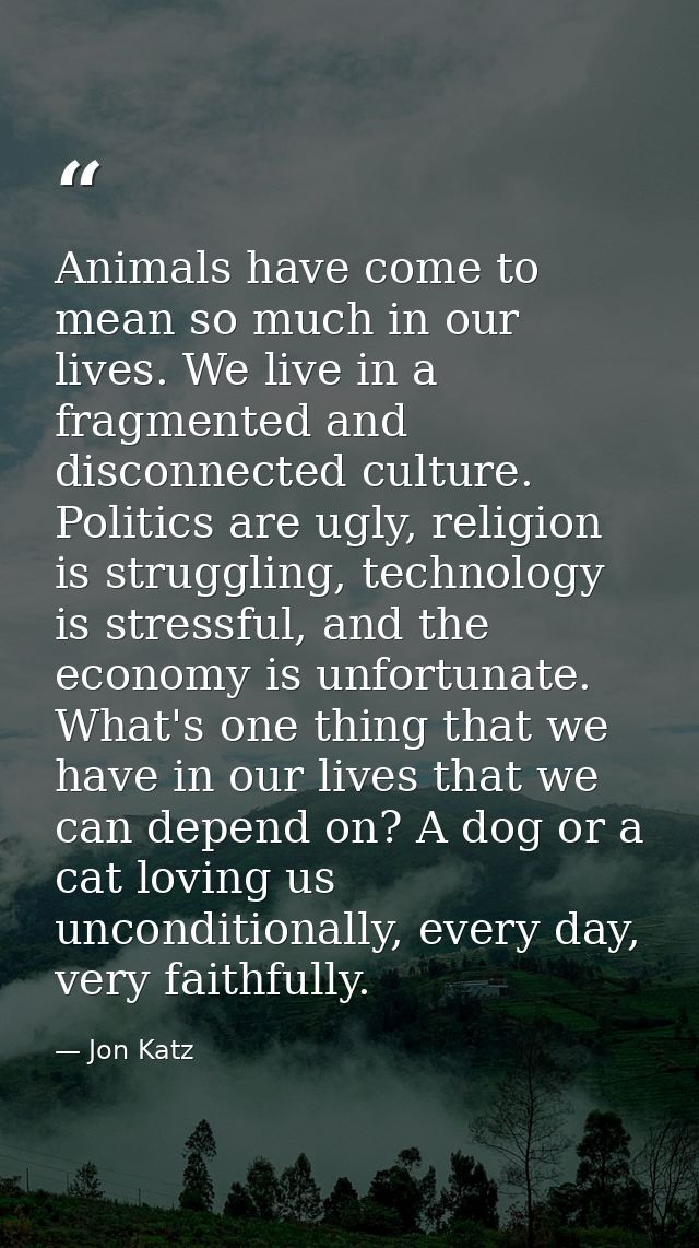 Animals have come to mean so much in our lives. We live in a fragmented and disconnected culture. Politics are ugly, rel — Jon Katz