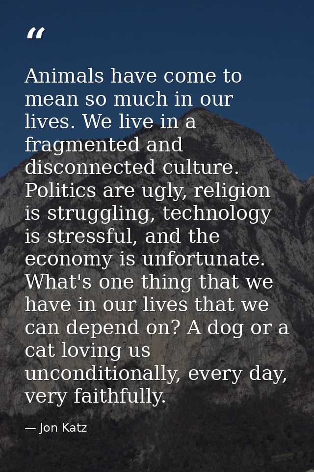 Animals have come to mean so much in our lives. We live in a fragmented and disconnected culture. Politics are ugly, rel — Jon Katz