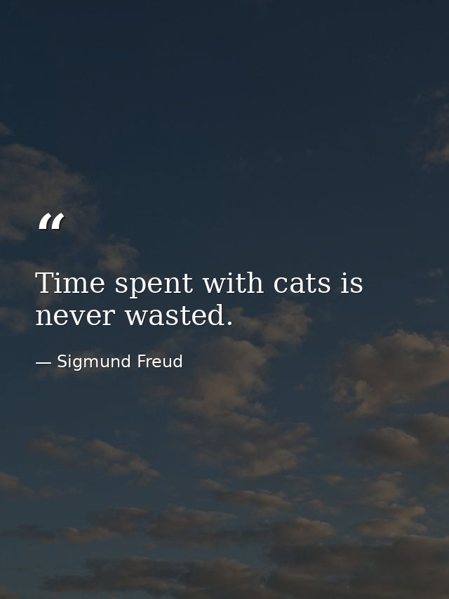 Time spent with cats is never wasted. — Sigmund Freud