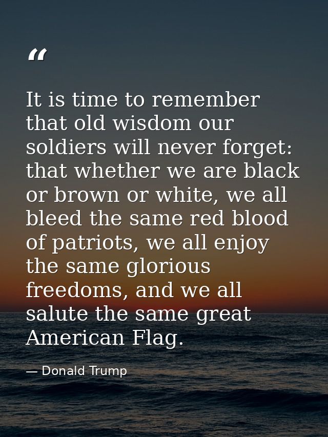 It is time to remember that old wisdom our soldiers will never forget: that whether we are black or brown or white, we a — Donald Trump