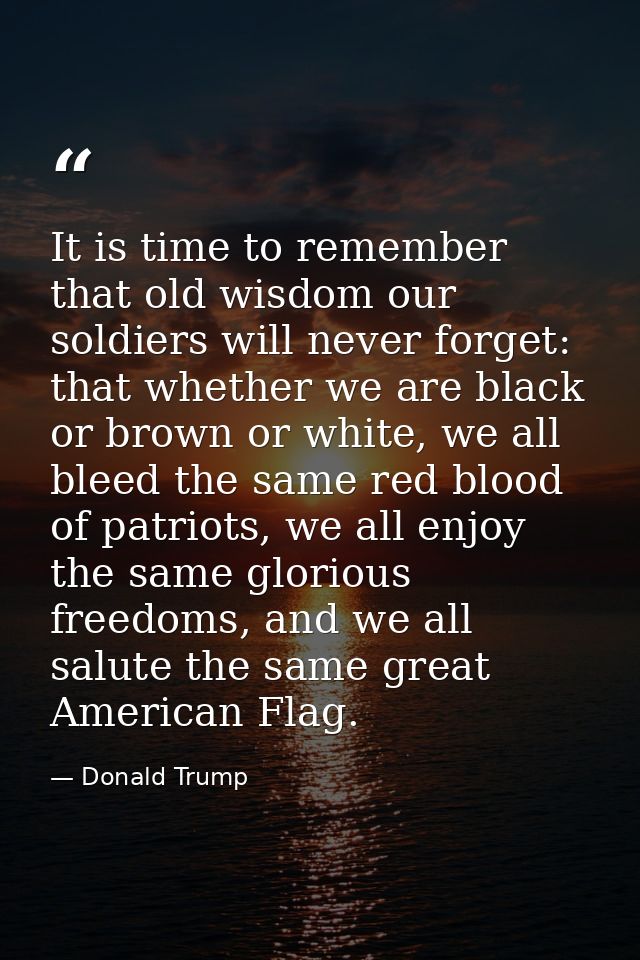 It is time to remember that old wisdom our soldiers will never forget: that whether we are black or brown or white, we a — Donald Trump