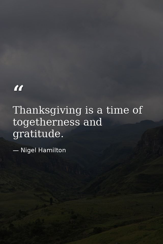 Thanksgiving is a time of togetherness and gratitude. — Nigel Hamilton