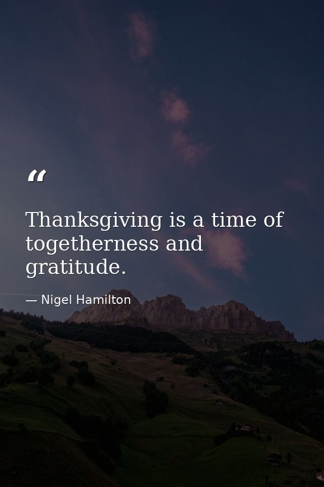 Thanksgiving is a time of togetherness and gratitude. — Nigel Hamilton