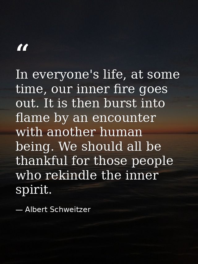 In everyone's life, at some time, our inner fire goes out. It is then burst into flame by an encounter with another huma — Albert Schweitzer