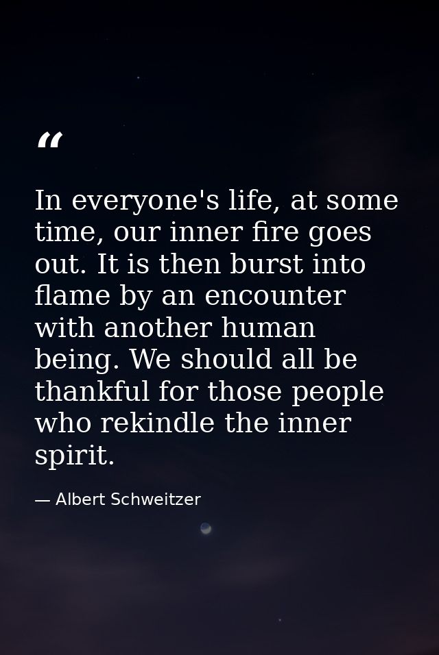 In everyone's life, at some time, our inner fire goes out. It is then burst into flame by an encounter with another huma — Albert Schweitzer
