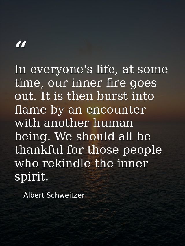 In everyone's life, at some time, our inner fire goes out. It is then burst into flame by an encounter with another huma — Albert Schweitzer