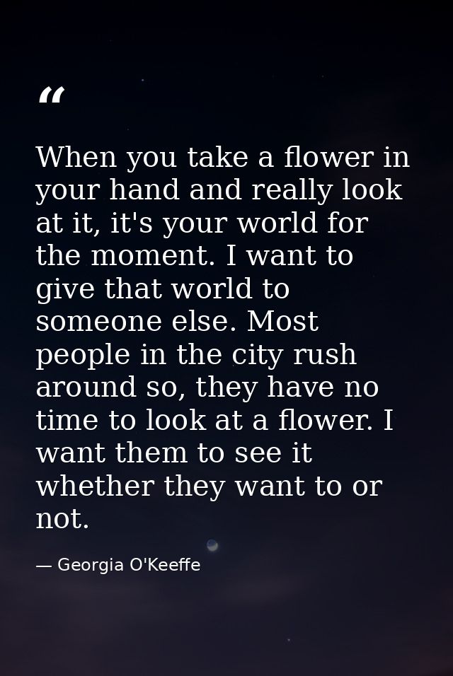 When you take a flower in your hand and really look at it, it's your world for the moment. I want to give that world to  — Georgia O'Keeffe