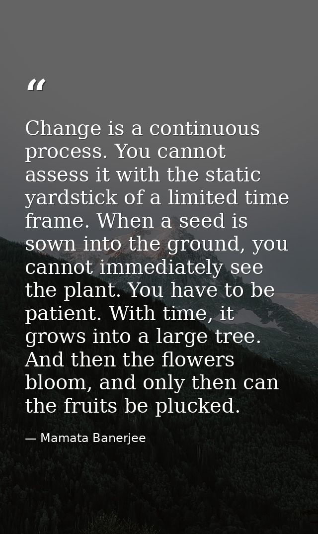 Change is a continuous process. You cannot assess it with the static yardstick of a limited time frame. When a seed is s — Mamata Banerjee