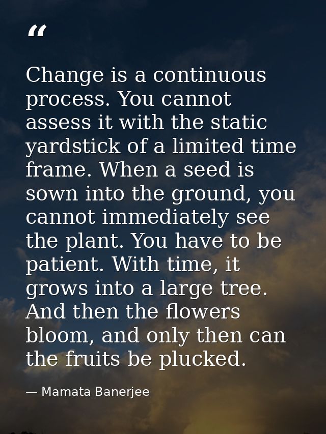 Change is a continuous process. You cannot assess it with the static yardstick of a limited time frame. When a seed is s — Mamata Banerjee