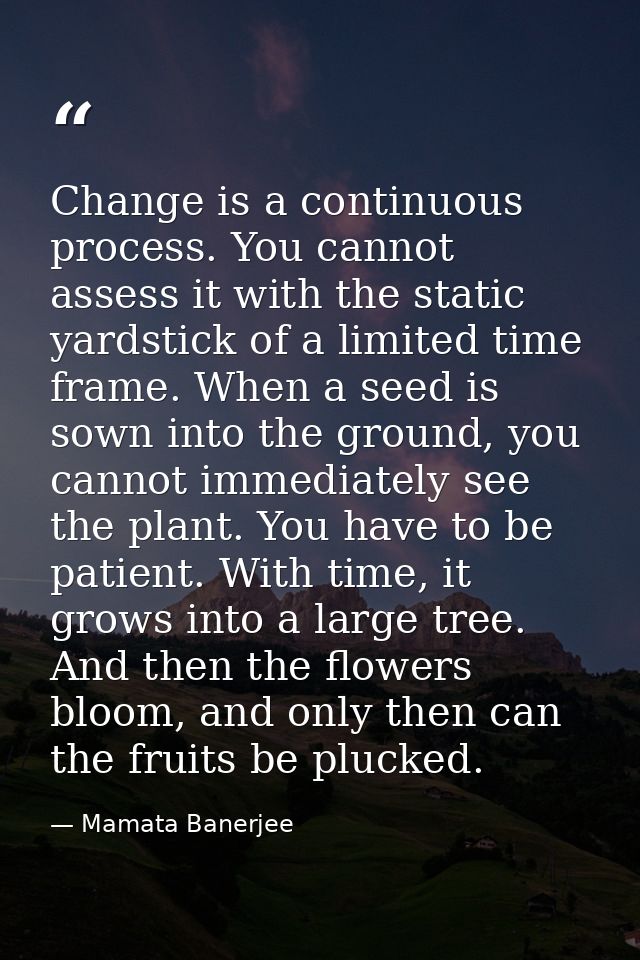 Change is a continuous process. You cannot assess it with the static yardstick of a limited time frame. When a seed is s — Mamata Banerjee