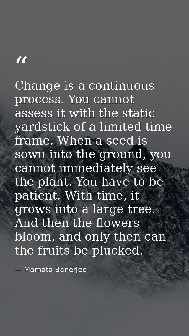 Change is a continuous process. You cannot assess it with the static yardstick of a limited time frame. When a seed is s — Mamata Banerjee