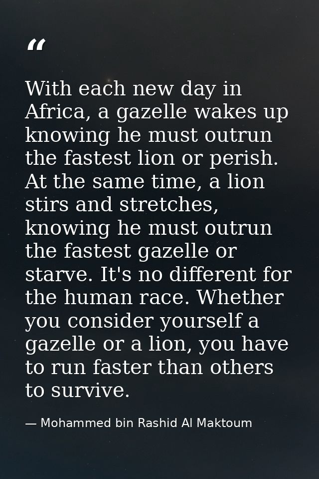 With each new day in Africa, a gazelle wakes up knowing he must outrun the fastest lion or perish. At the same time, a l — Mohammed bin Rashid Al Maktoum