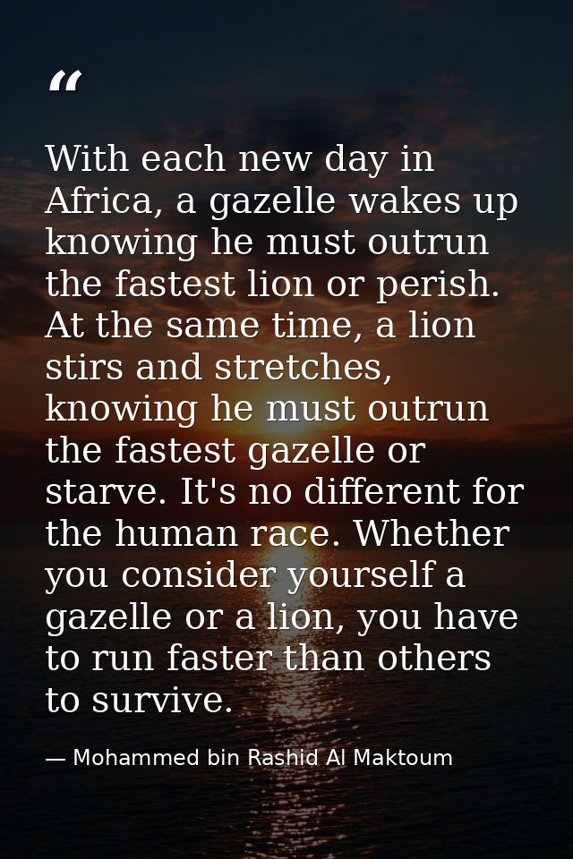 With each new day in Africa, a gazelle wakes up knowing he must outrun the fastest lion or perish. At the same time, a l — Mohammed bin Rashid Al Maktoum