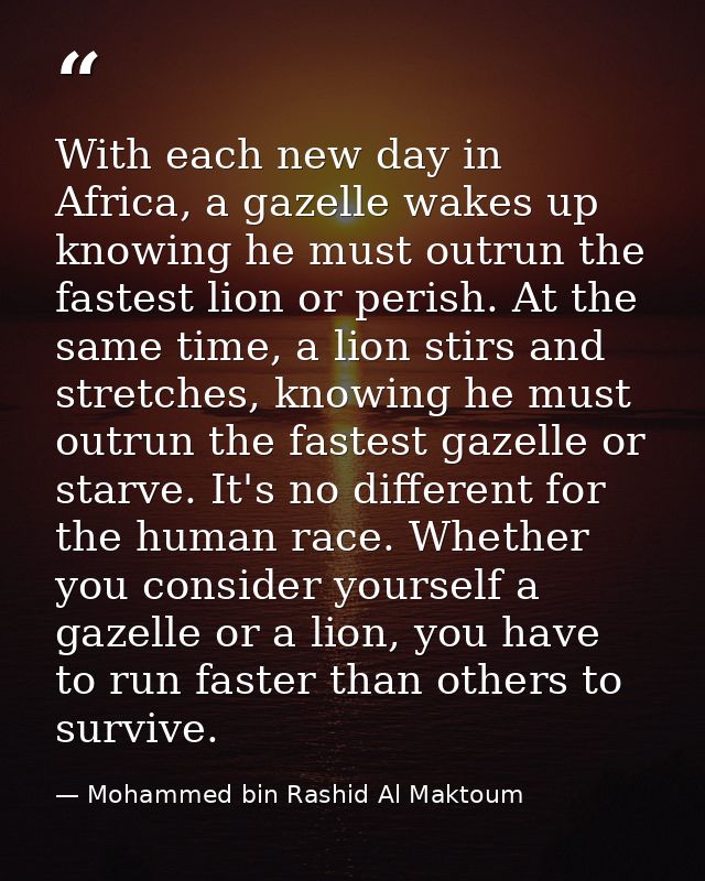 With each new day in Africa, a gazelle wakes up knowing he must outrun the fastest lion or perish. At the same time, a l — Mohammed bin Rashid Al Maktoum