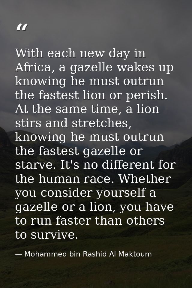 With each new day in Africa, a gazelle wakes up knowing he must outrun the fastest lion or perish. At the same time, a l — Mohammed bin Rashid Al Maktoum