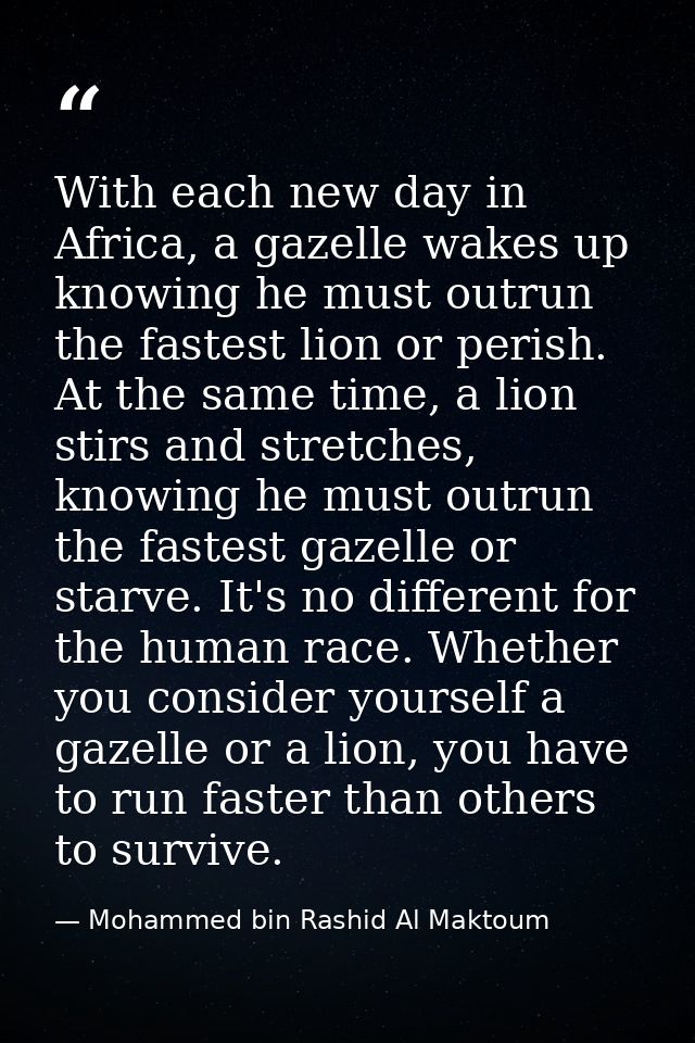 With each new day in Africa, a gazelle wakes up knowing he must outrun the fastest lion or perish. At the same time, a l — Mohammed bin Rashid Al Maktoum