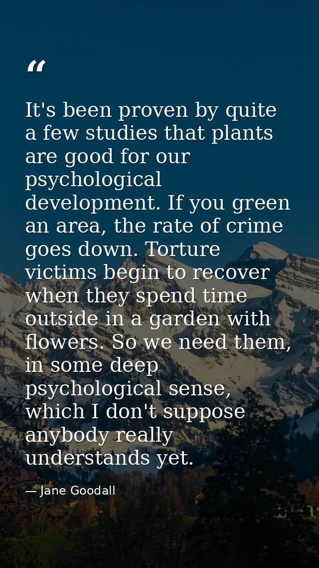 It's been proven by quite a few studies that plants are good for our psychological development. If you green an area, th — Jane Goodall