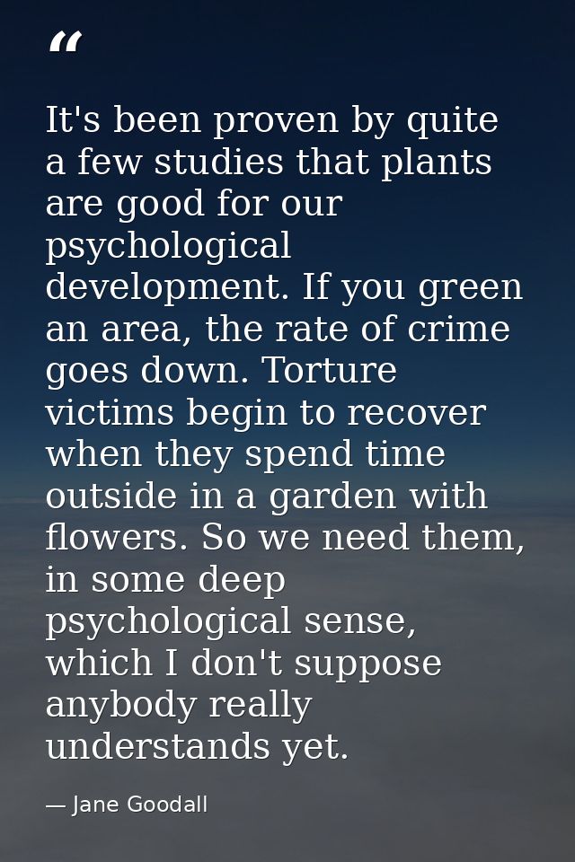 It's been proven by quite a few studies that plants are good for our psychological development. If you green an area, th — Jane Goodall